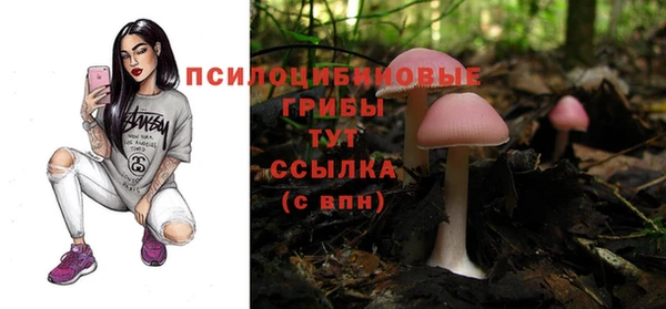 скорость Белокуриха