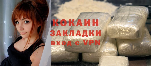 амф Дмитриев