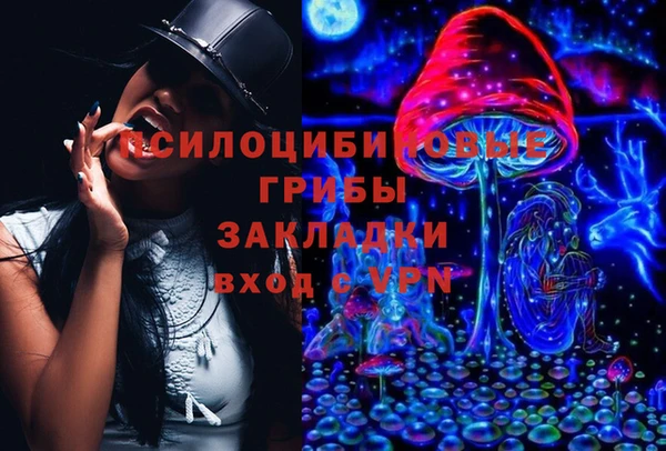 скорость Белокуриха