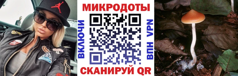Псилоцибиновые грибы прущие грибы Светлый